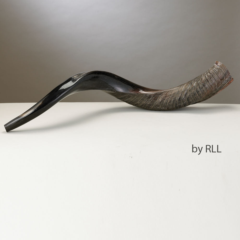 Yememite Shofar
