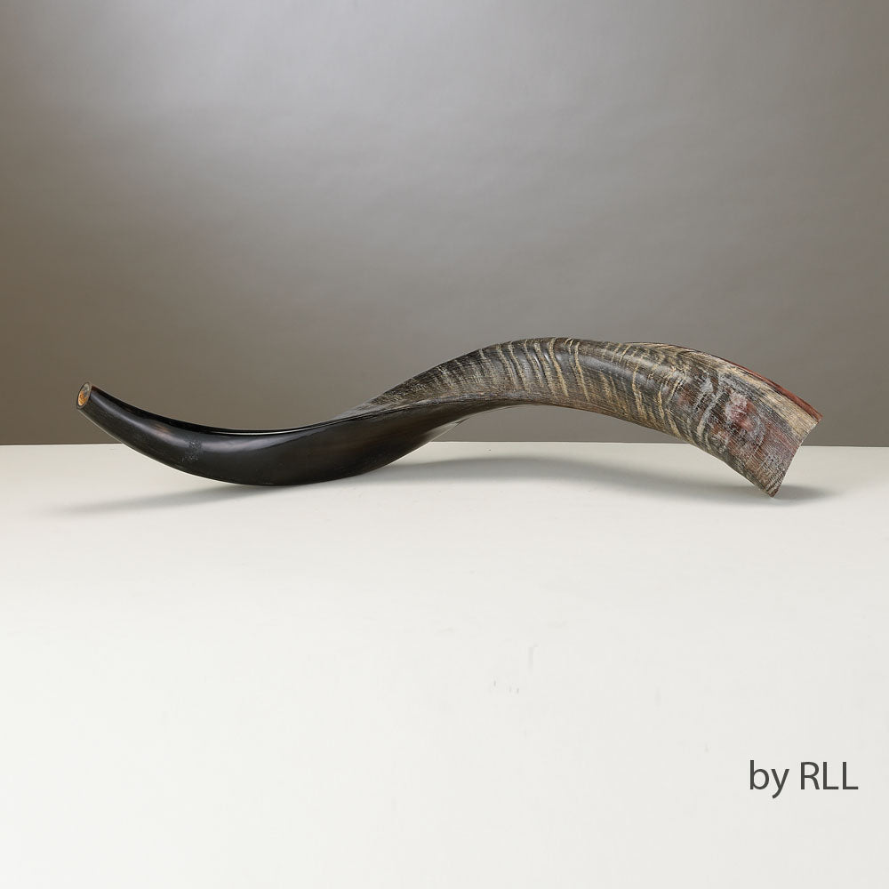 Yeminite Shofar